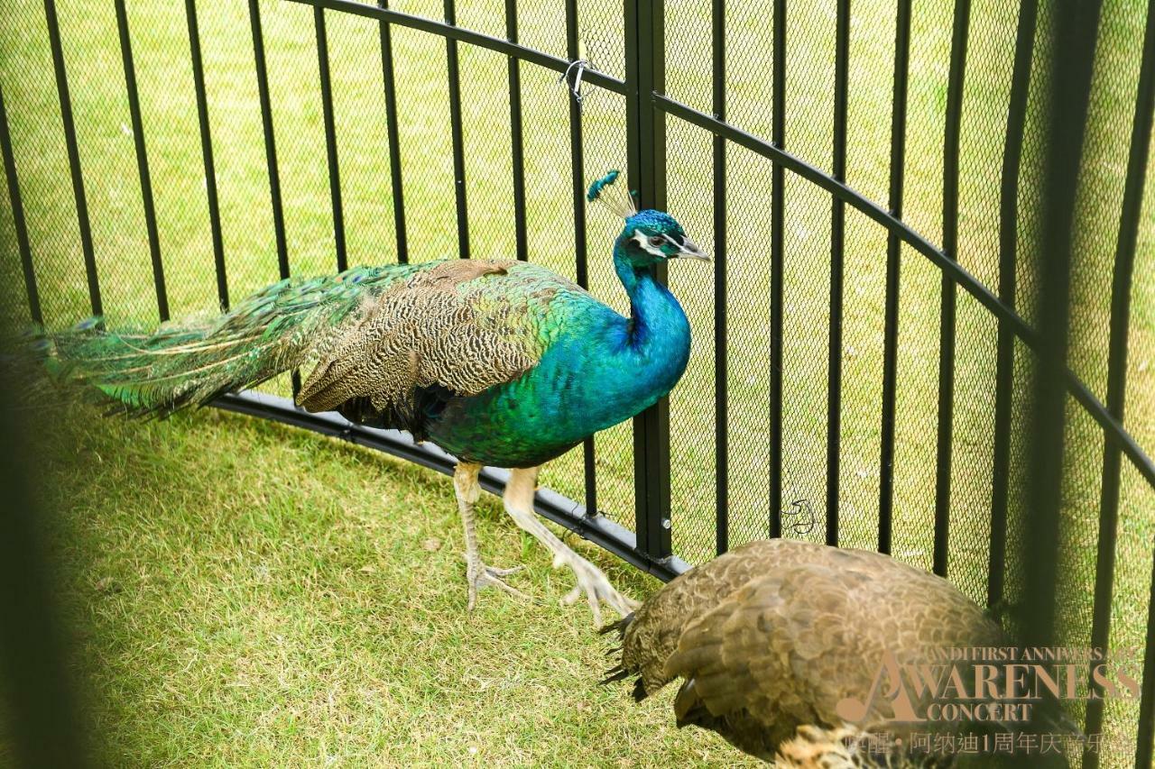ザ アナンディ ホテル アンド スパ シャンハイ 上海市 エクステリア 写真