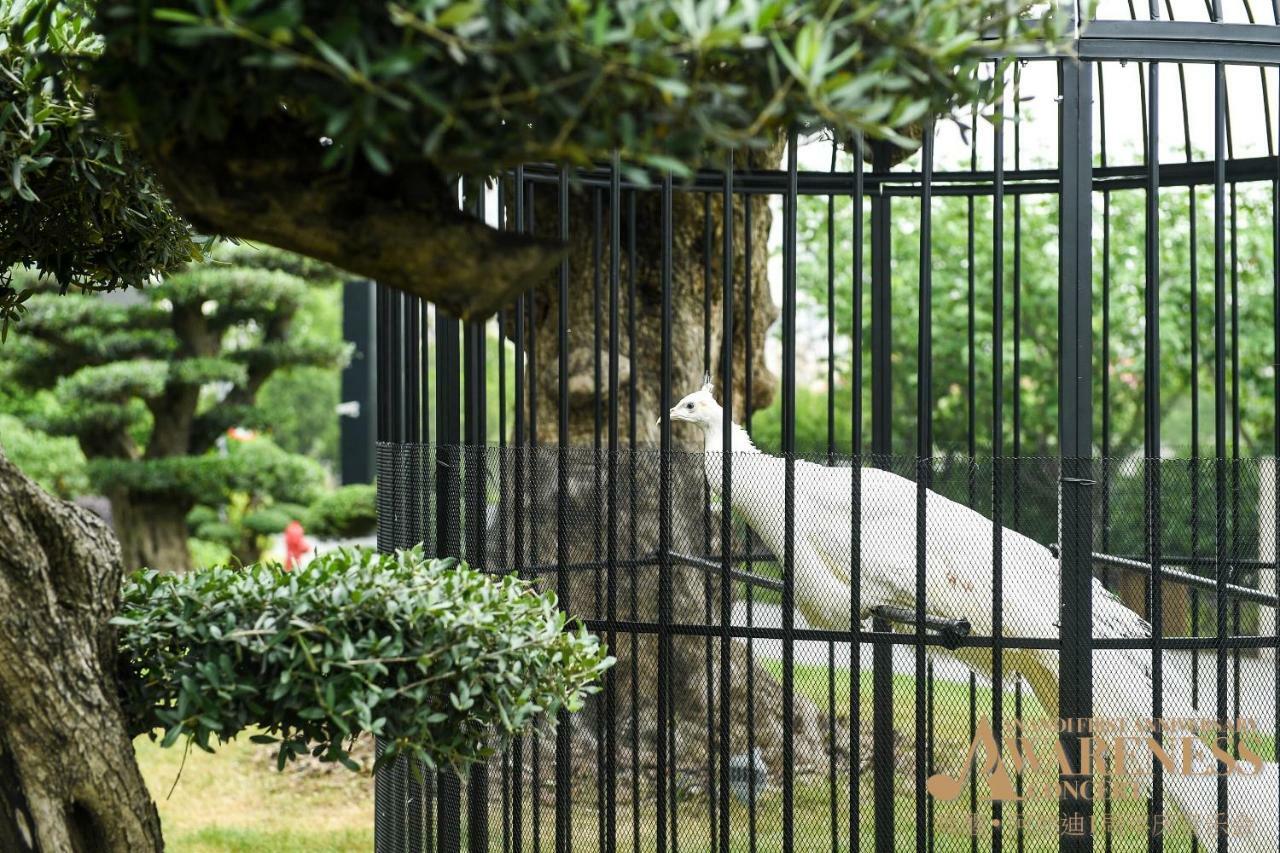 ザ アナンディ ホテル アンド スパ シャンハイ 上海市 エクステリア 写真